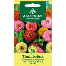 Sėklos AGRONOM Gvaizdūnės puikios. Thumbelina