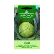 Sėklos AGRONOM Kopūstai Polar