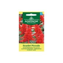 Sėklos AGRONOM Šalavijai Scarlet Piccolo