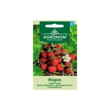 Sėklos AGRONOM Žemuogės Rugen