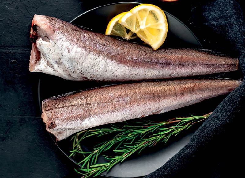 Skrosta Argentininė jūrinė lydeka Lot. Merluccius hubbsi, 1 kg