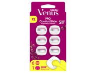 Skustuvo galvutės VENUS Sugarberry, +dangtelis, 6 vnt