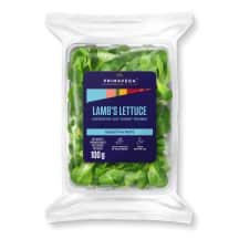Sultenė indeliuose PRIMAVEGA, 100 g