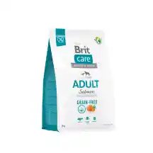 Šunų ėd. BRIT CARE GRAIN FREE SALMON, 3 kg