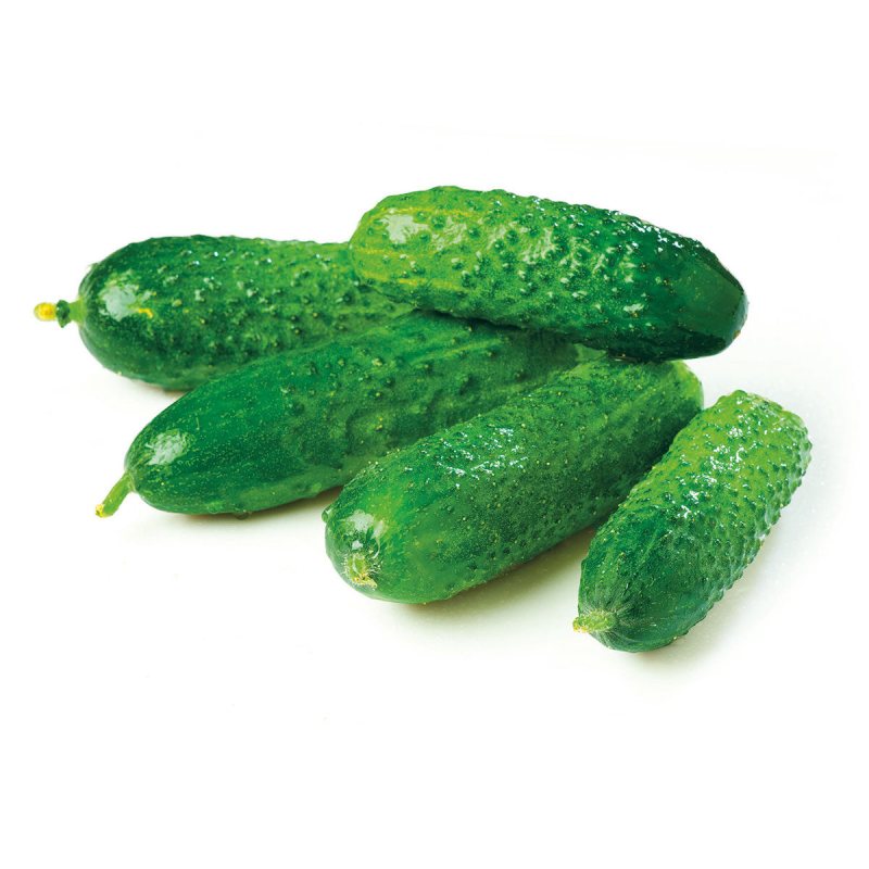 Trumpavaisiams agurkams, 1 kg
