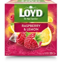 Vais. arbata LOYD su aviet. ir citr., 20 x 2 g