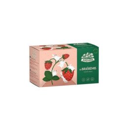 Vaisinė arbata vaikams ŽOLYNĖLIS su braškėmis, 40 g, 20 vnt