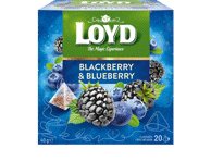 Vaisinė gervuogių ir mėlynių arbata LOYD, 40 g