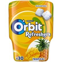 Vaisių skonio kramtomoji guma ORBIT, 67 g
