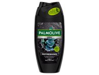 Vyriška dušo želė PALMOLIVE PURE ARCTIC REFRESHING 2 IN 1, 250 ml