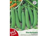 Žirniai Kleine Rheinländerin