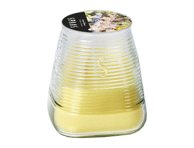 Žvakė nuo uodų CETRONELLA LEMON,45h